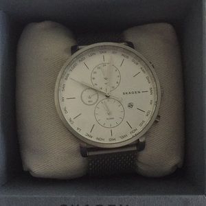 Skagen world time watch